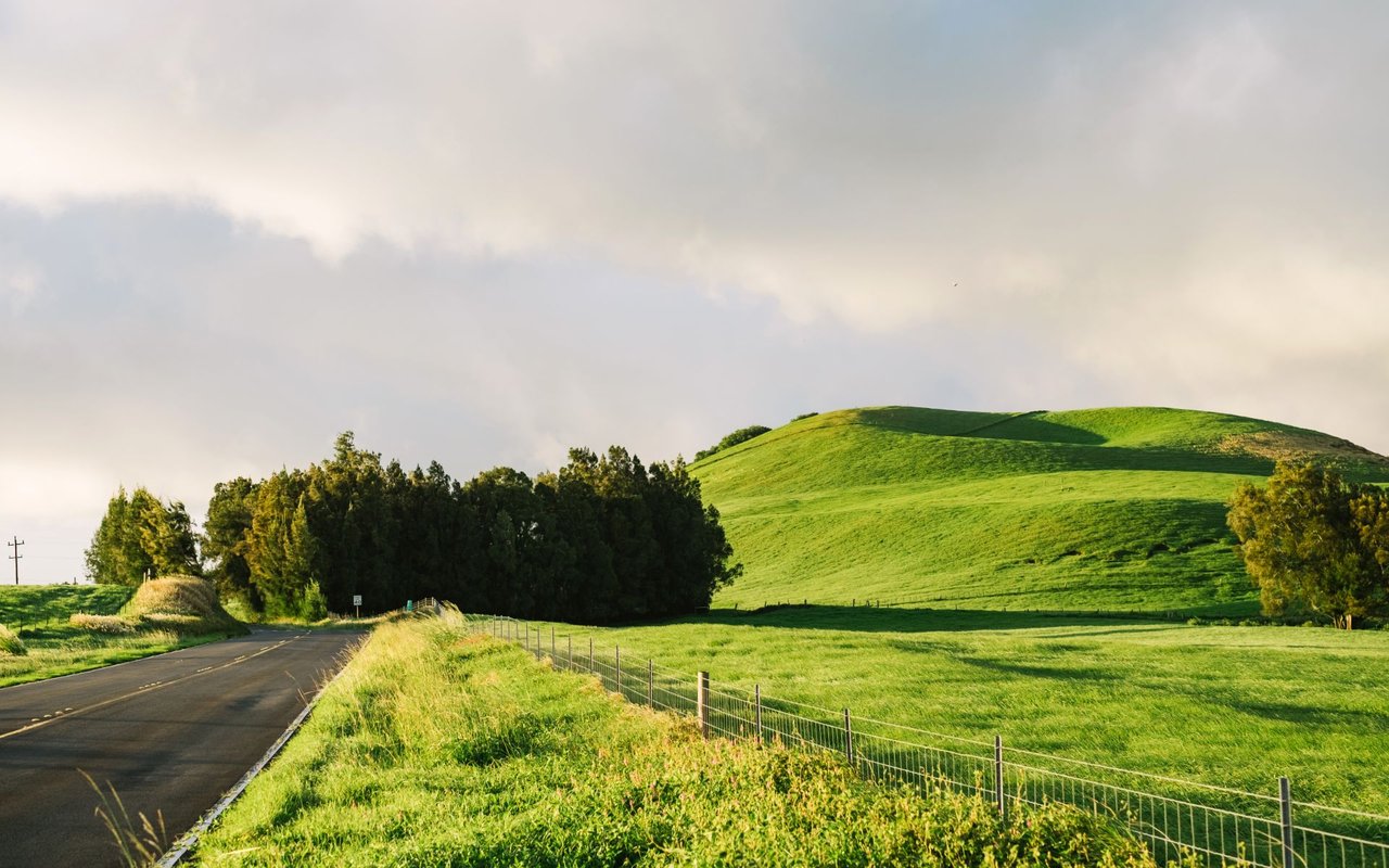 Is a Luxury Property in Kohala Ranch Right for You?