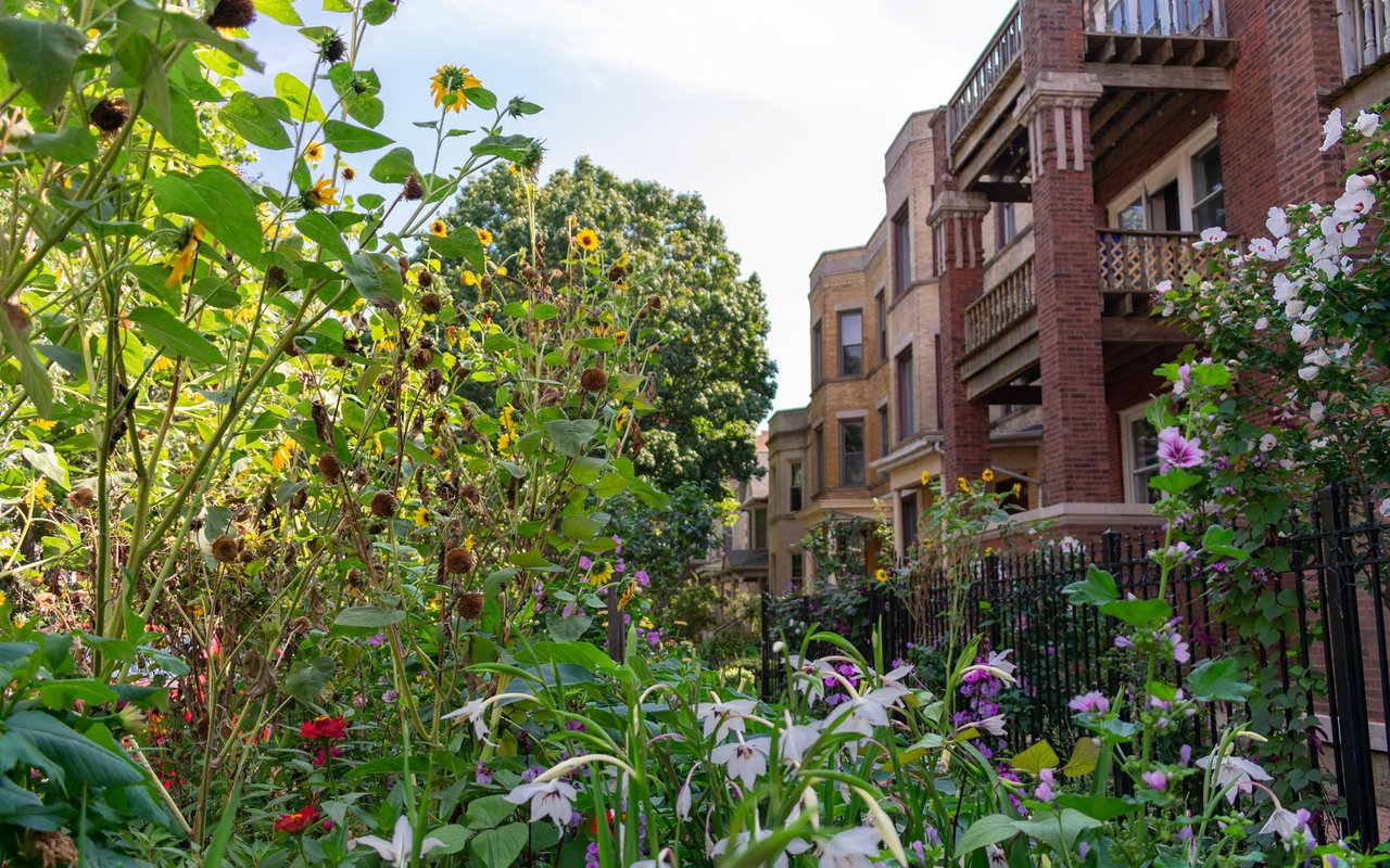Andersonville / Ravenswood