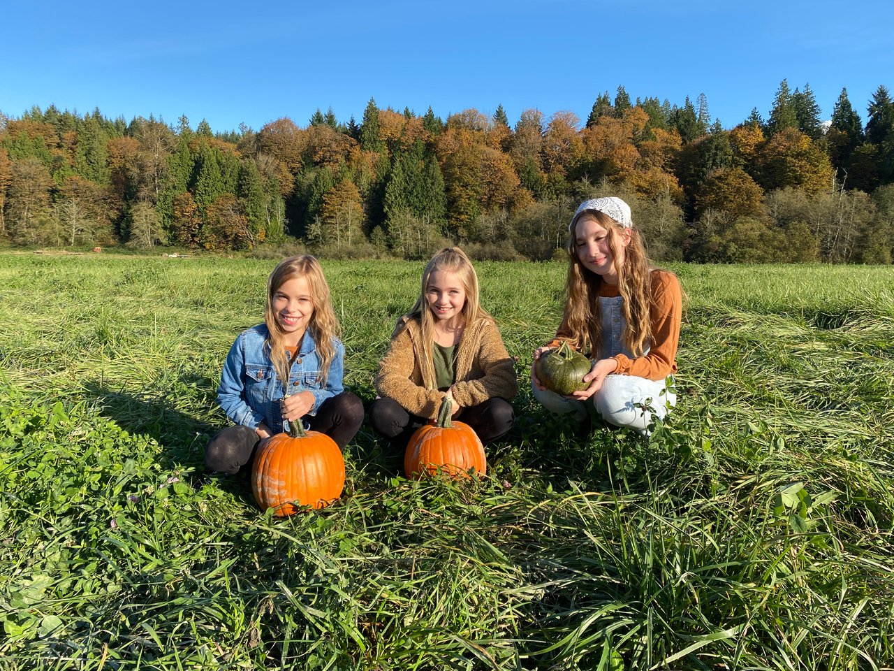 Three girls pose with pumpkins in a sunny field bordered by autumn-colored trees.