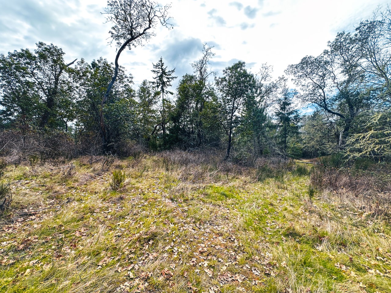 SUTHERLIN HEIGHTS