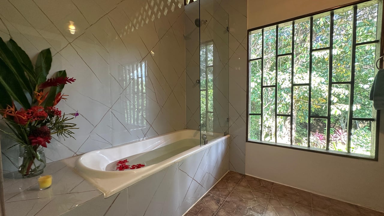 Breeze, Trees, and Monkeys - Your Affordable Costa Rican Haven