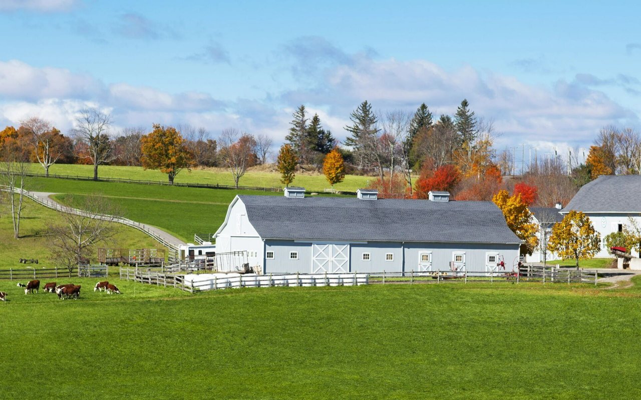 Manheim Township