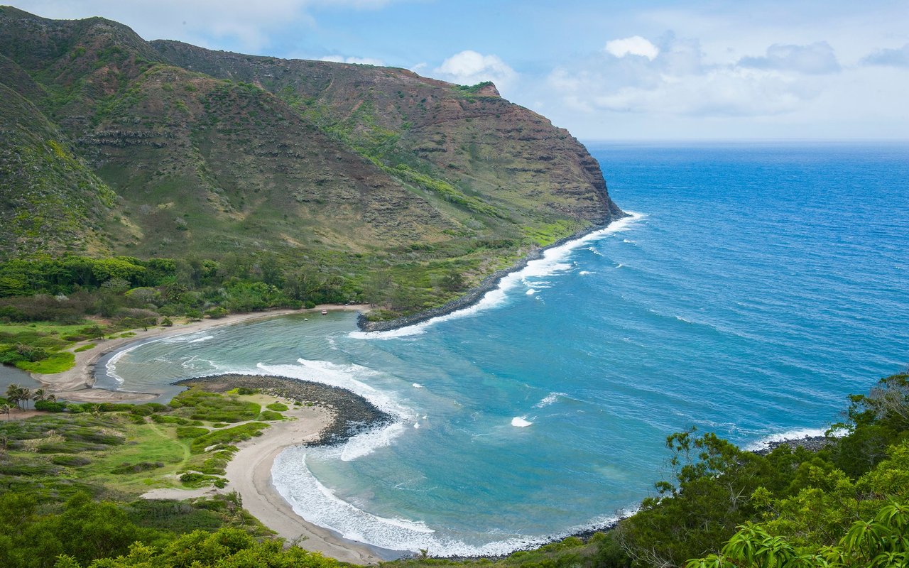 Halawa