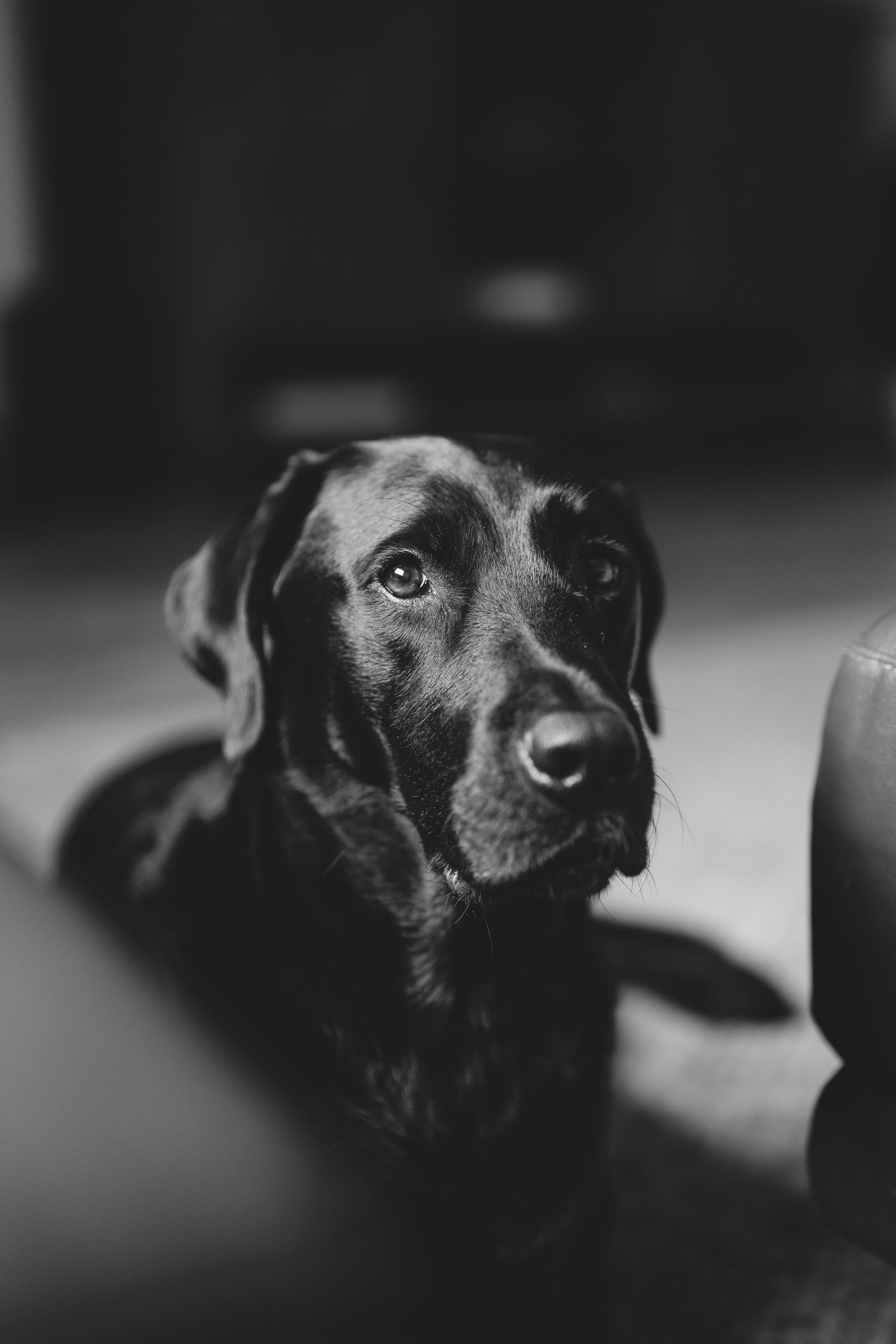 Bentley  Fairweather