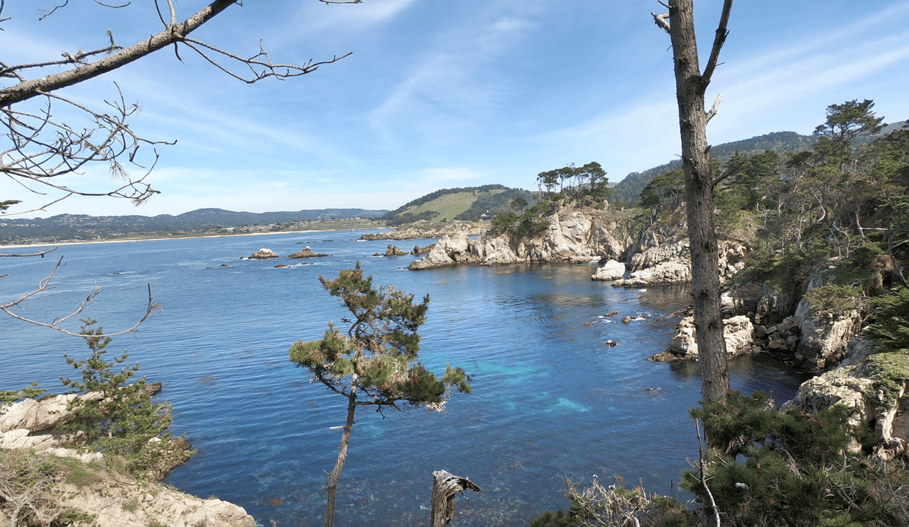 Navigating Point Lobos - Parking and the new shuttle system