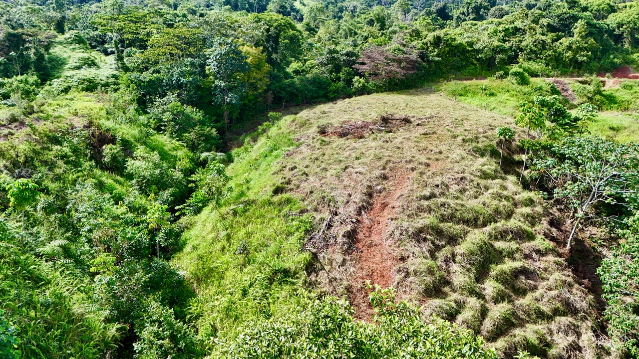 Off-Grid Ocean View Lot | 1.7 Acres in Las Nubes Matapalo Hills 