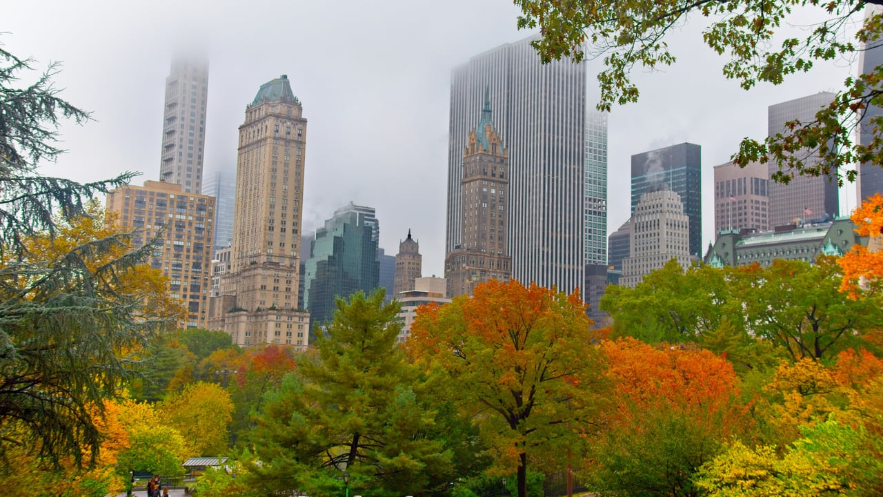 What Buyers and Sellers Can Expect From NYC’s Fall Housing Market