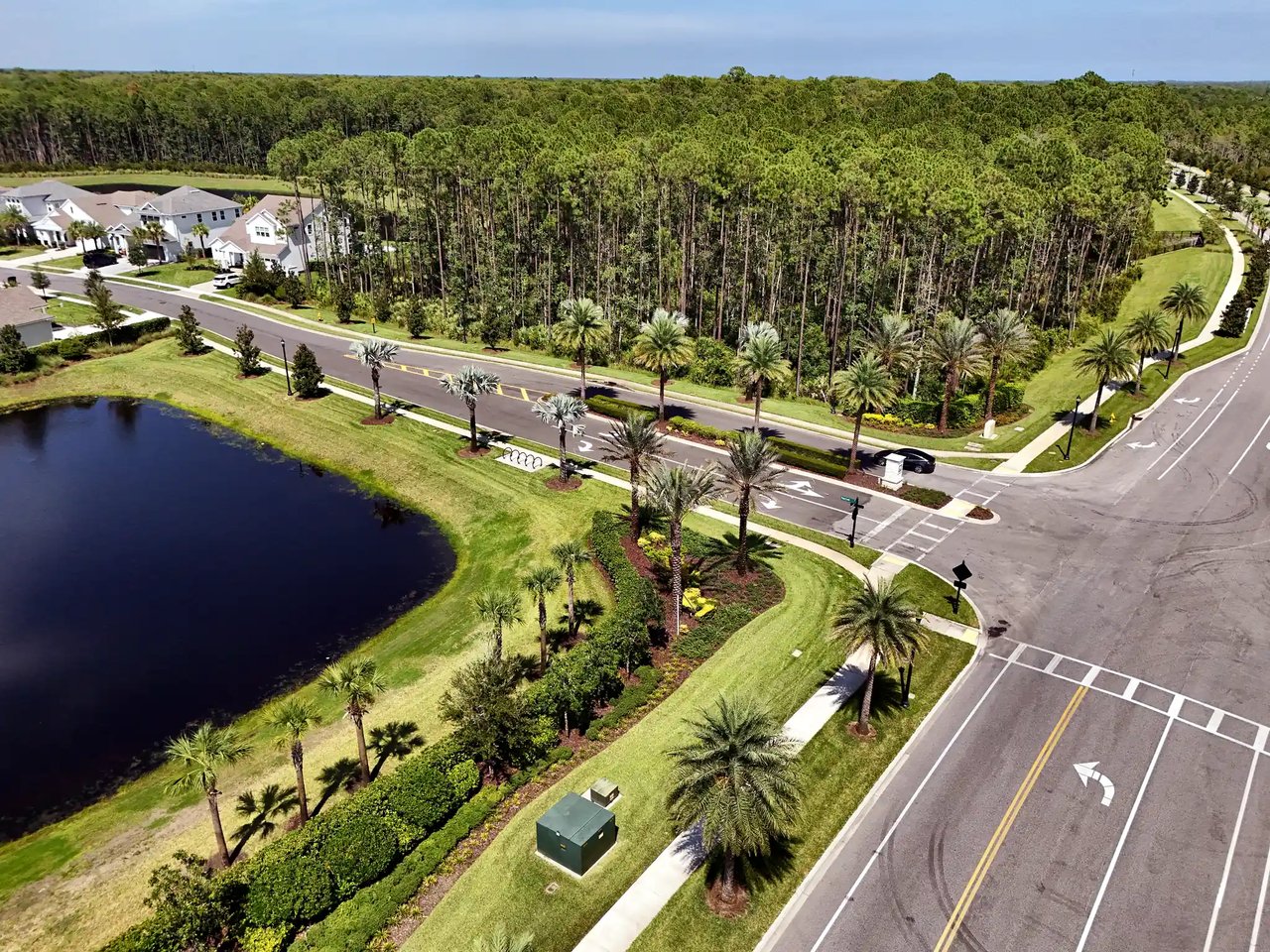 Aerial view of the palm-lined Palm Crest entrance road beside a lake, meeting a tree-lined parkway in Nocatee.