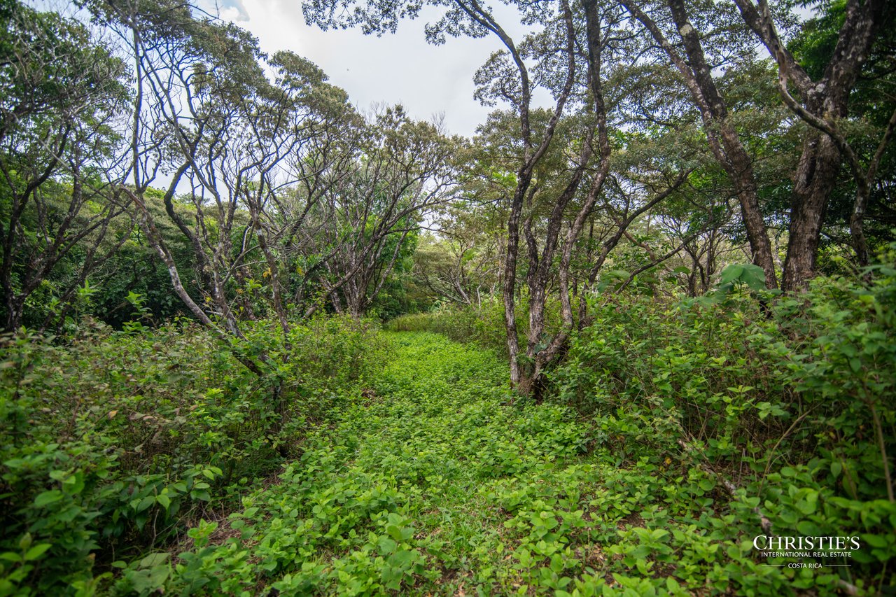 Origins Mineral: A Rare Landholding in Guanacaste’s Volcanic Highlands