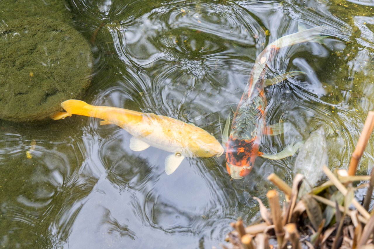 6109 Mountain Villa Circle | Taniguchi Modern Home in Northwest Hills