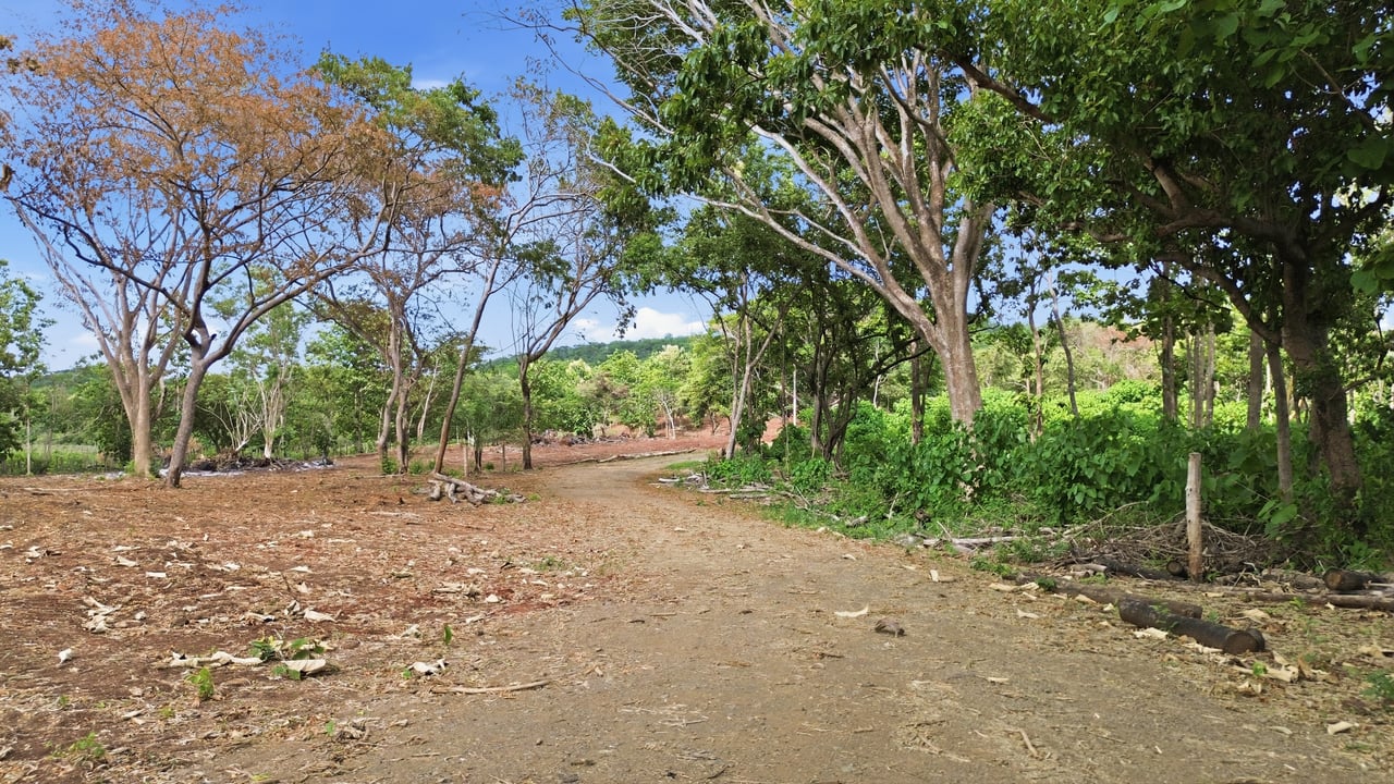 ALDEA DEL SOL - PLAYA VENADO 