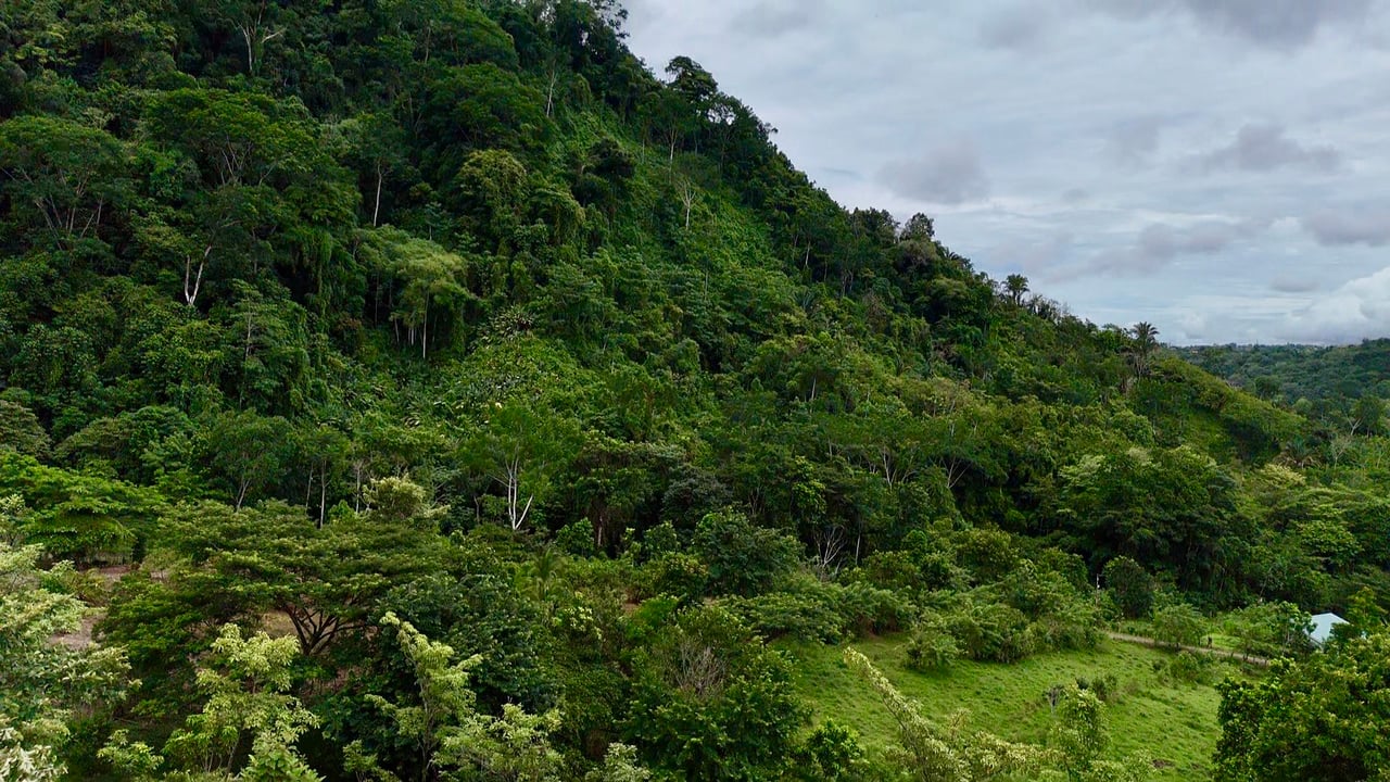Ocean View Sanctuary in San Buenas – 4.94 Acres of Pastures & Easy Accessaccess