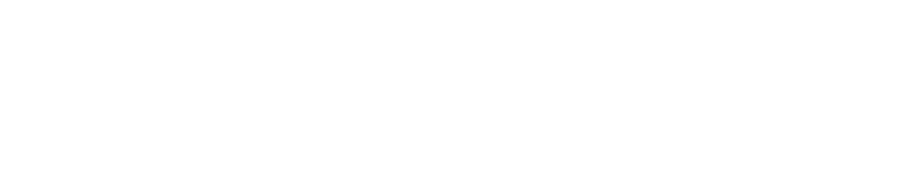 Light Logo