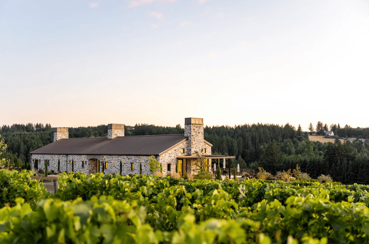 Stone winery building among grapevines, backed by a forested hillside.