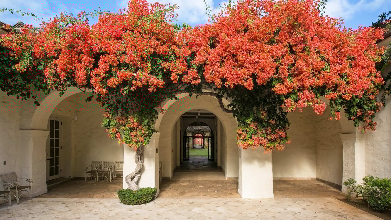 Honolulu Museum of Art