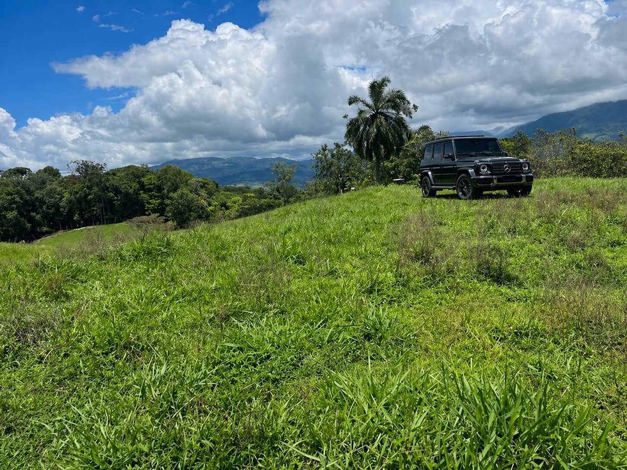 Prime Development Opportunity | 49 Hectares (121.5 Acres) | Platanillo – Tinamastes