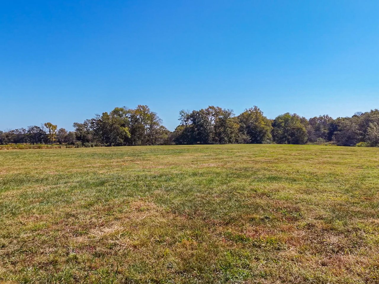 185 Acre Horse and Cattle Ranch