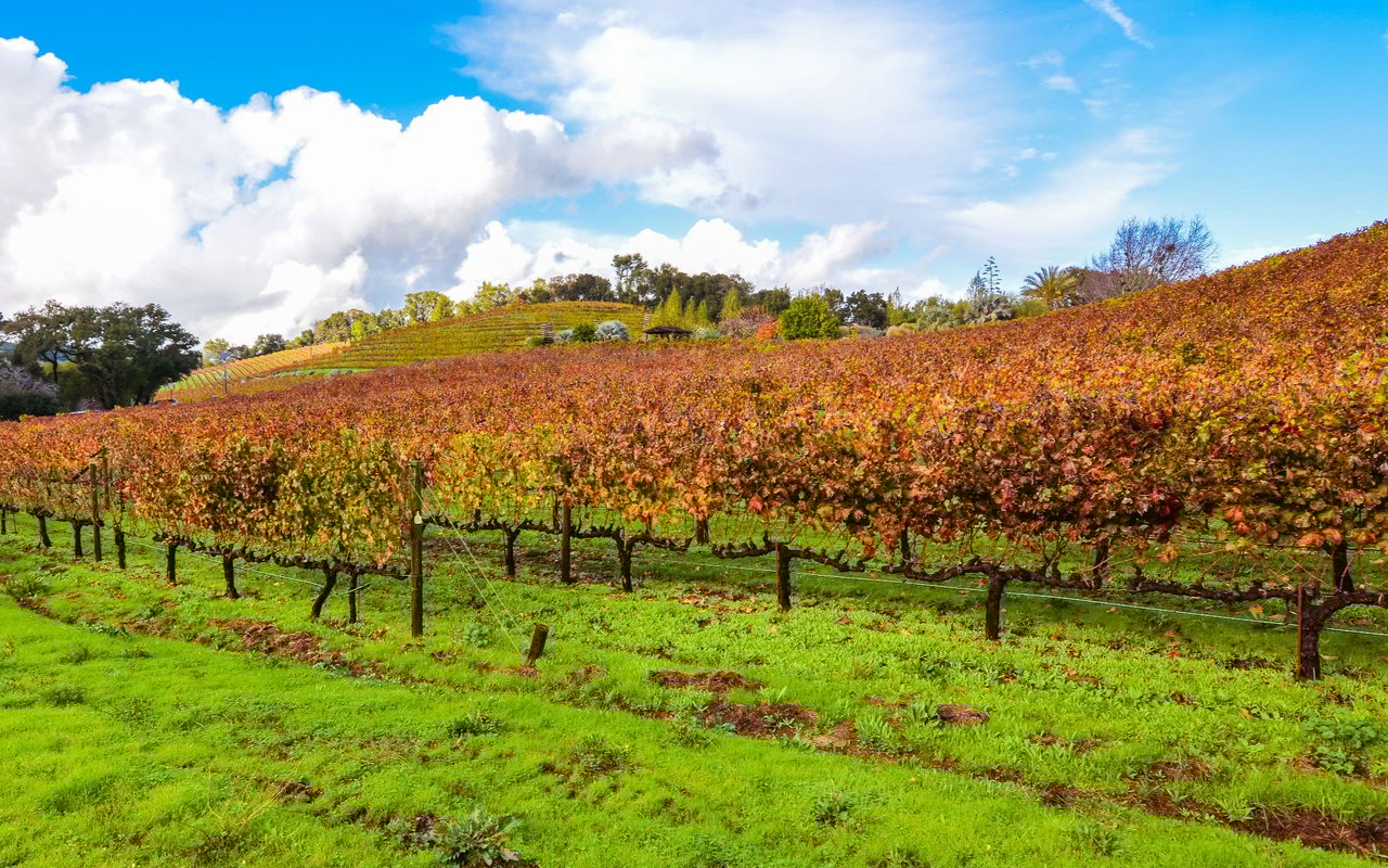 Glen Ellen