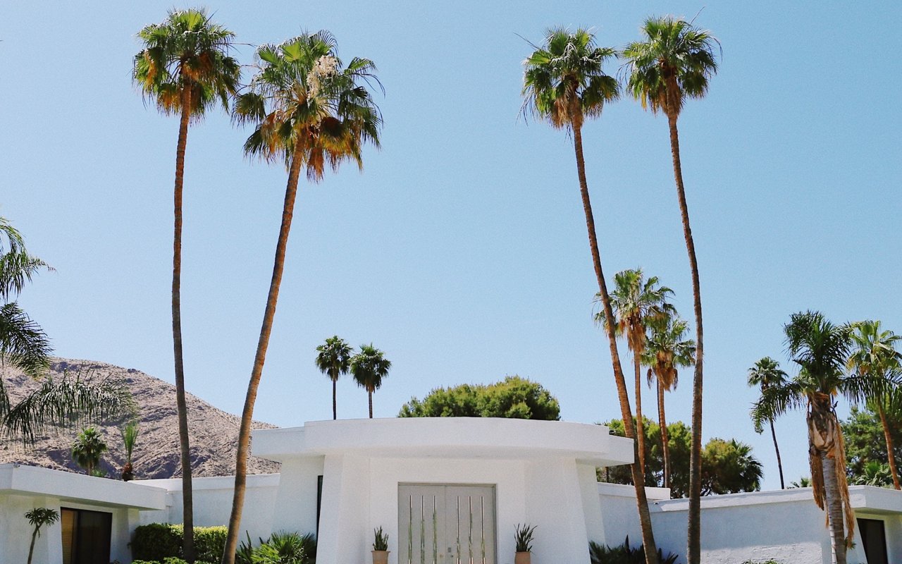 Modern white home framed by tall palms, with a dry hillside behind it.