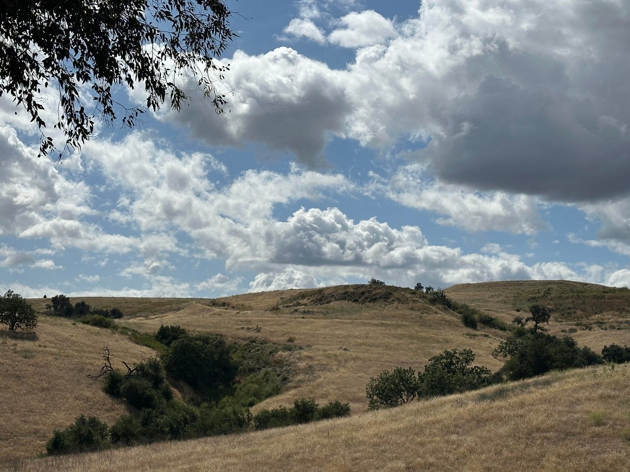 24962 Eldorado Meadow Rd
