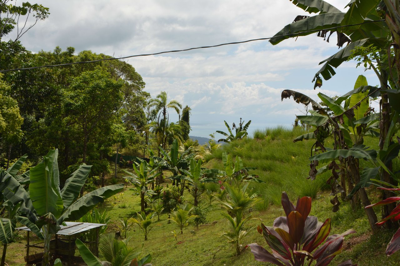Uvita First Ridge Finca Alezan 16.5 Acres, Fantastic Views, Ready To Build With Private Swimming Hole 