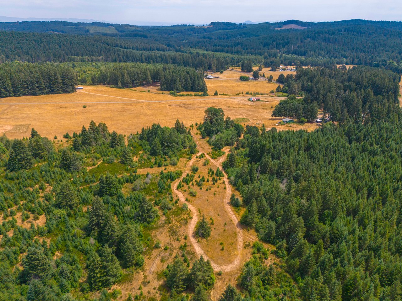 Sheffler Farm & Forest