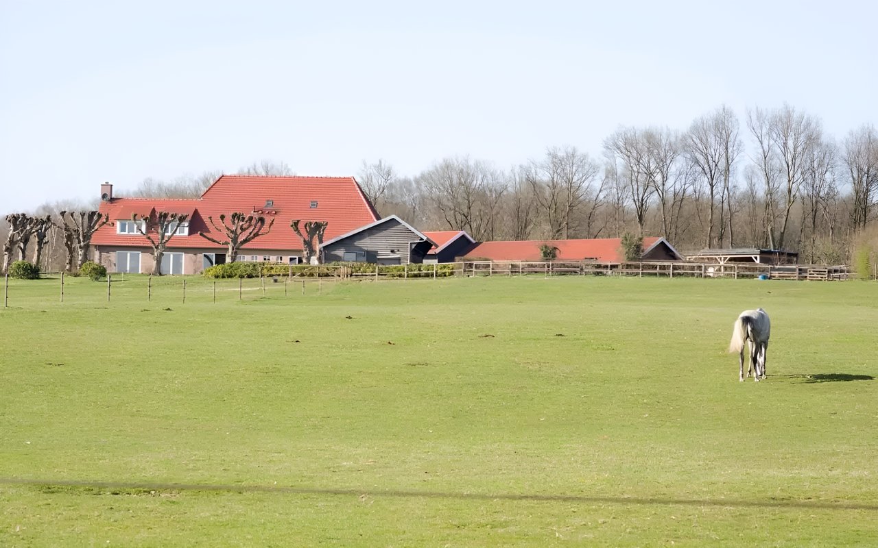 What is an Equestrian Property? A Detailed Guide