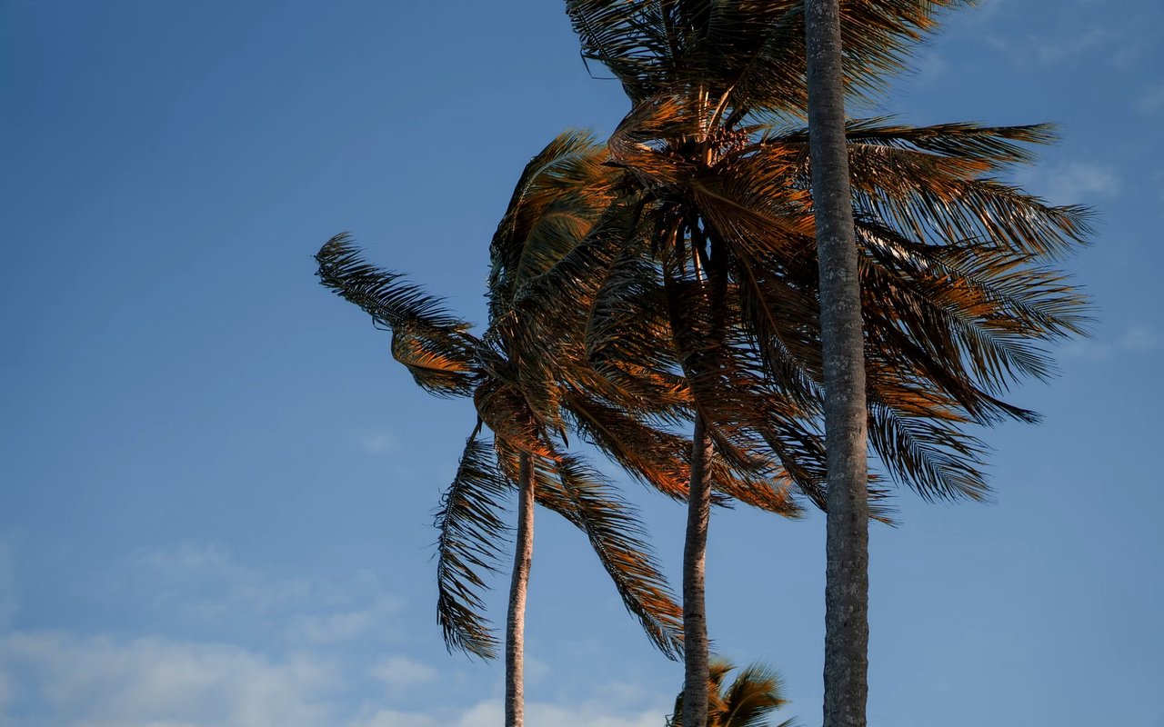 What You Need to Know About Hurricane Insurance in Naples, FL