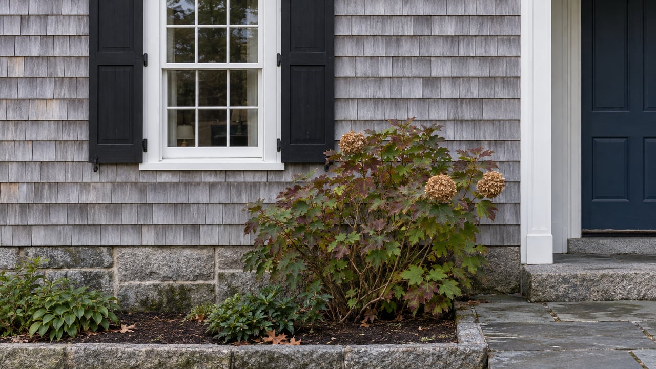 Weathered silver cedar shingles, a white divided-pane window with black shutters, and a blue entry door beside an autumn oakleaf hydrangea and stone approach.
