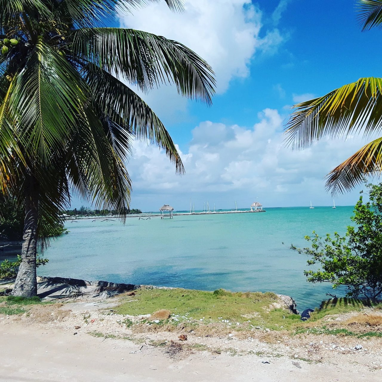 Los Pinos, Sarteneja 5 acre vacant parcel