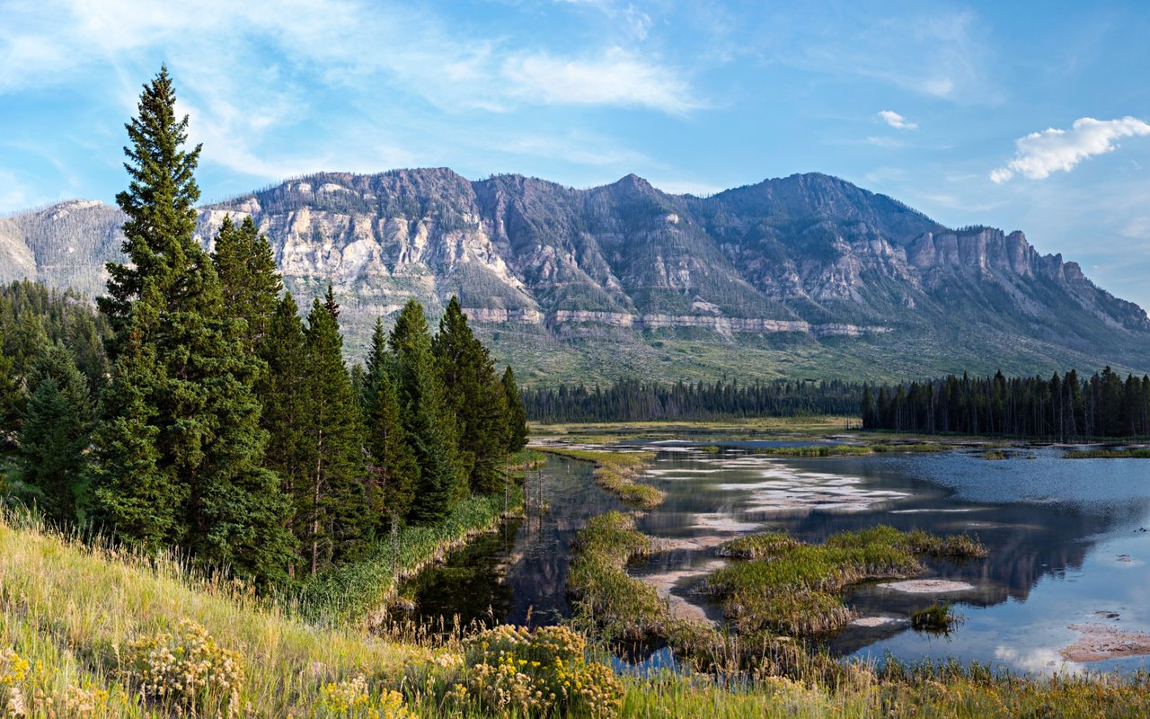 Swan Valley