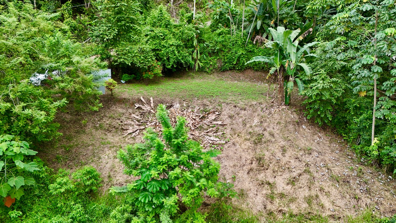 Tres Ríos Jungle Sanctuary | Ready-to-Build Lot Surrounded by Nature