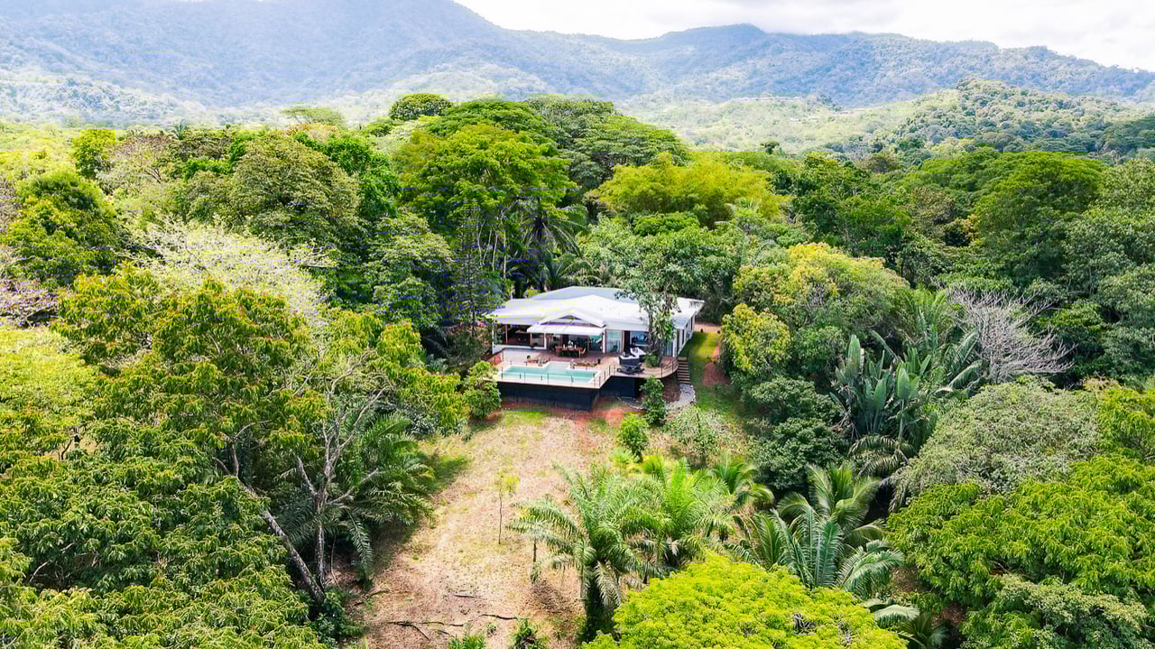 Five Star Private Rainforest Estate on Acreage with Creek