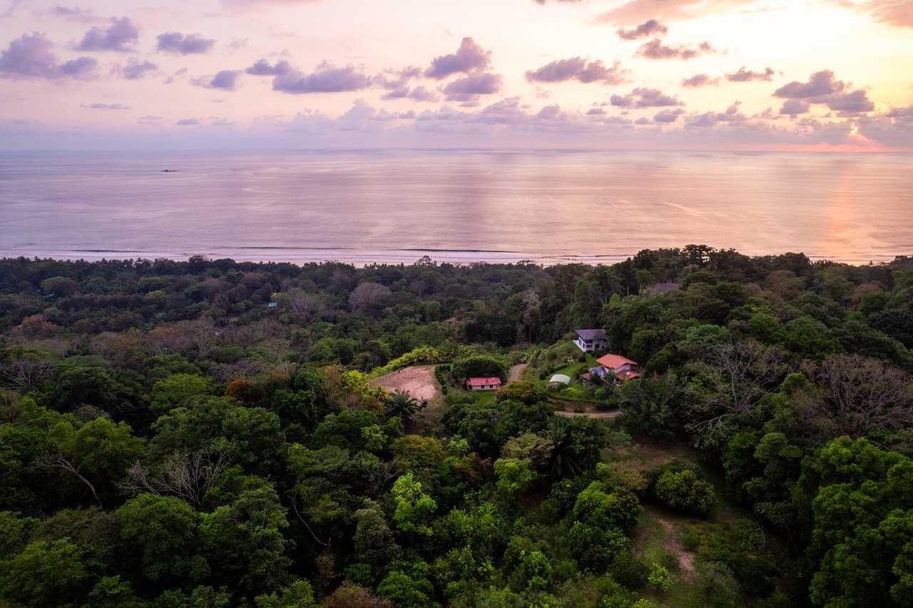 Ultra-Luxury Coastal Estate with Iconic Whale’s Tail Views
