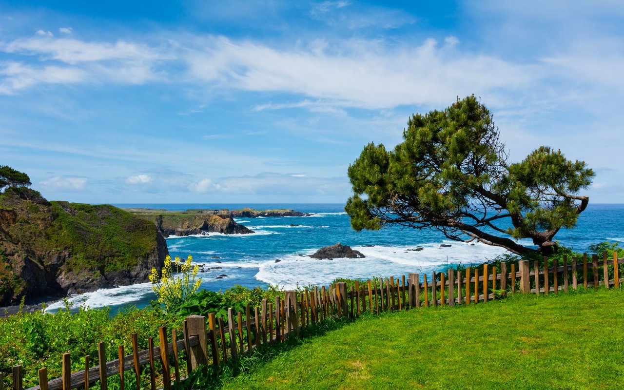 Mendocino County