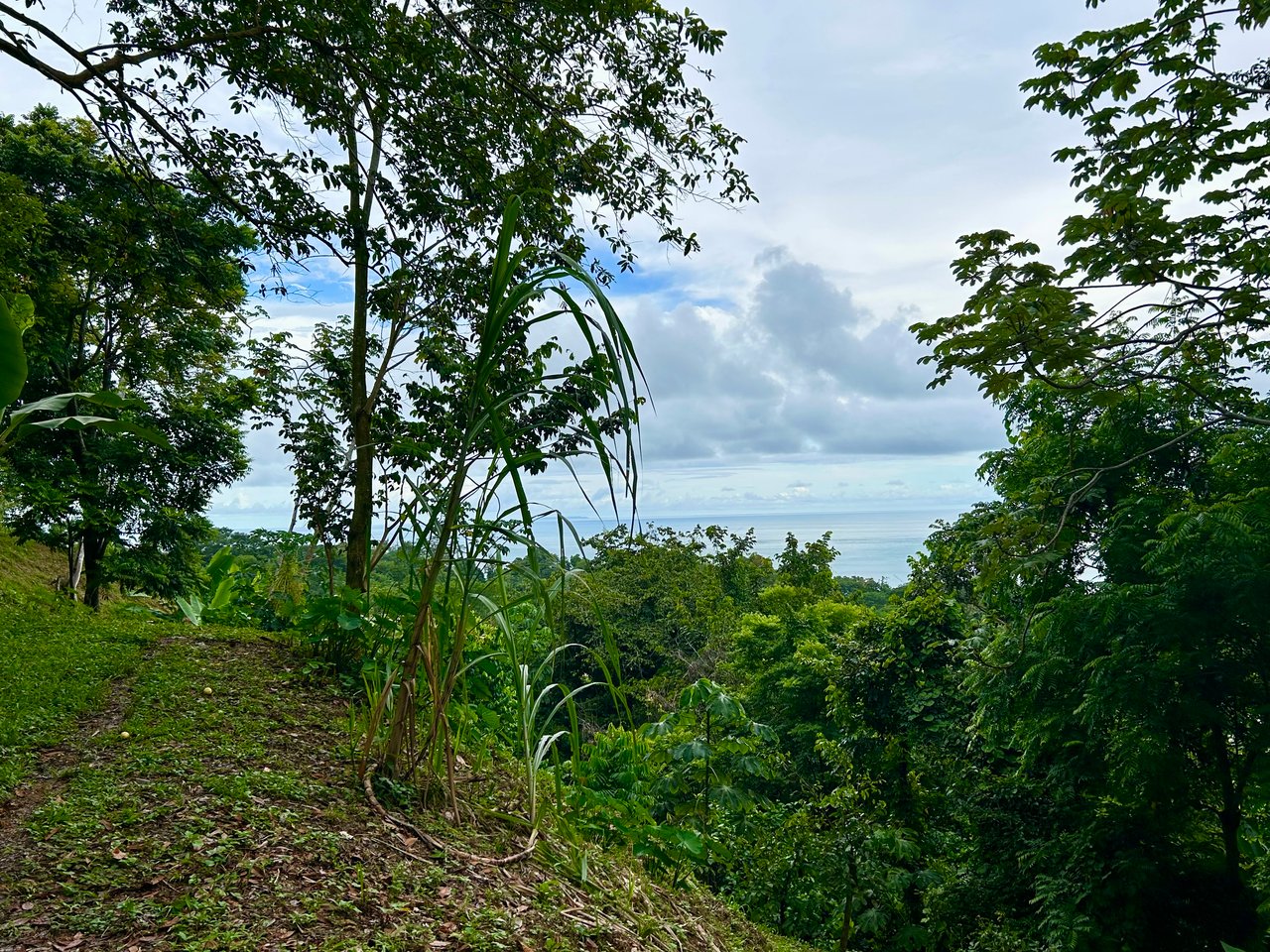 Ocean View Property in Playa Hermosa - Over 1 Acre