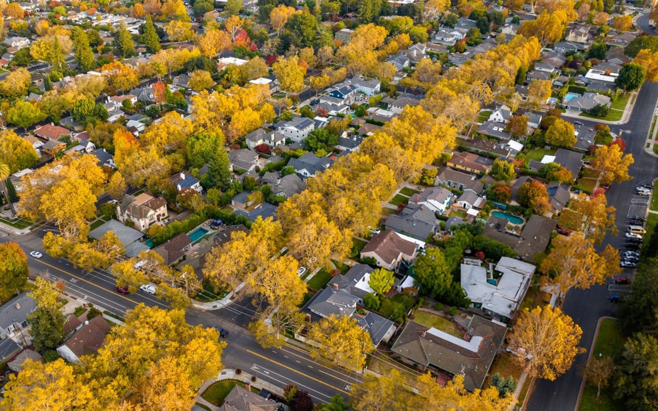Willow Glen