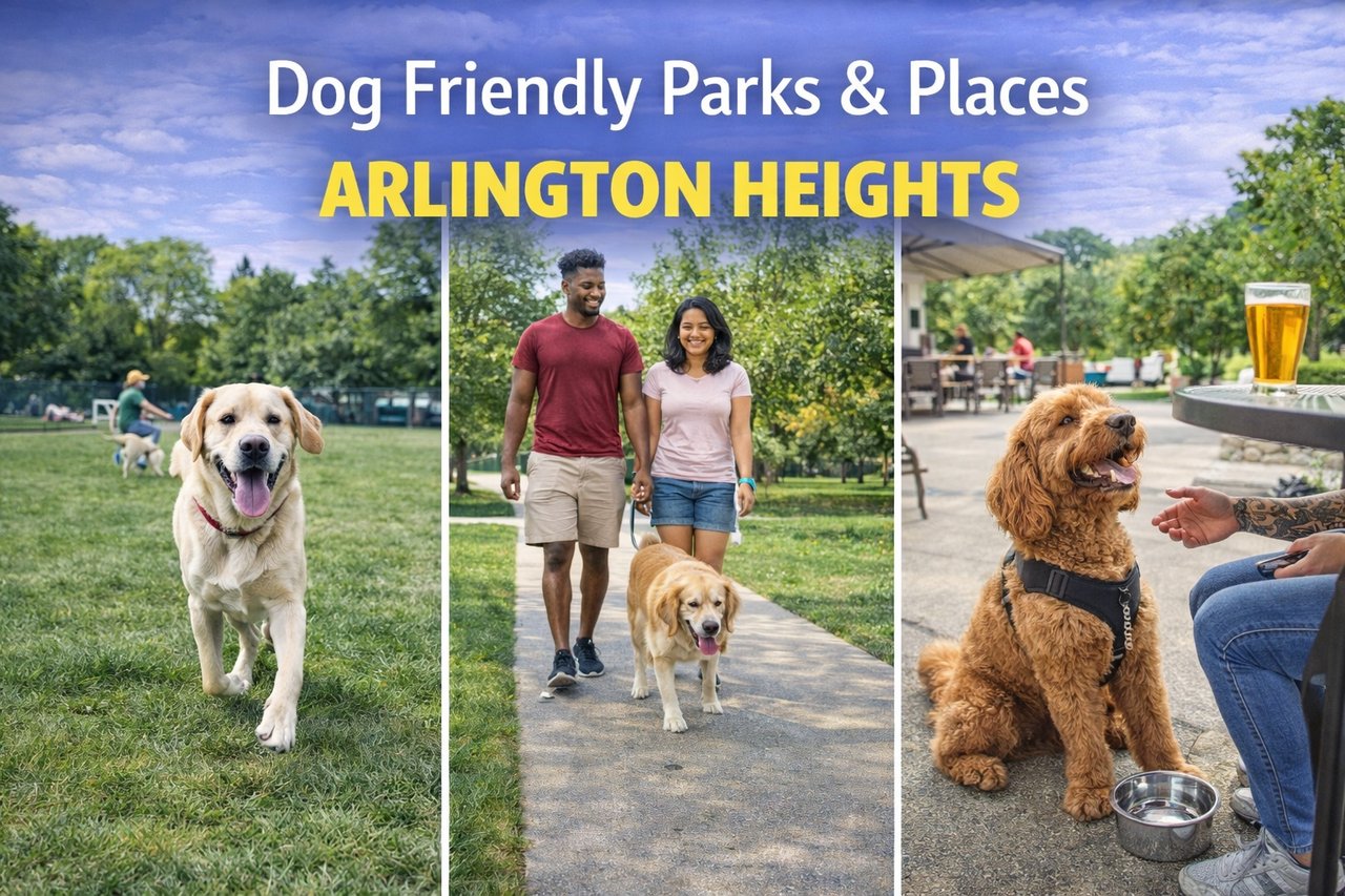  Dog-Friendly Parks in Arlington Heights, IL: A Local Guide 