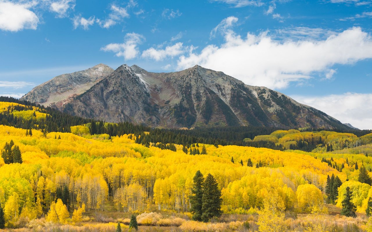 Aspen Core