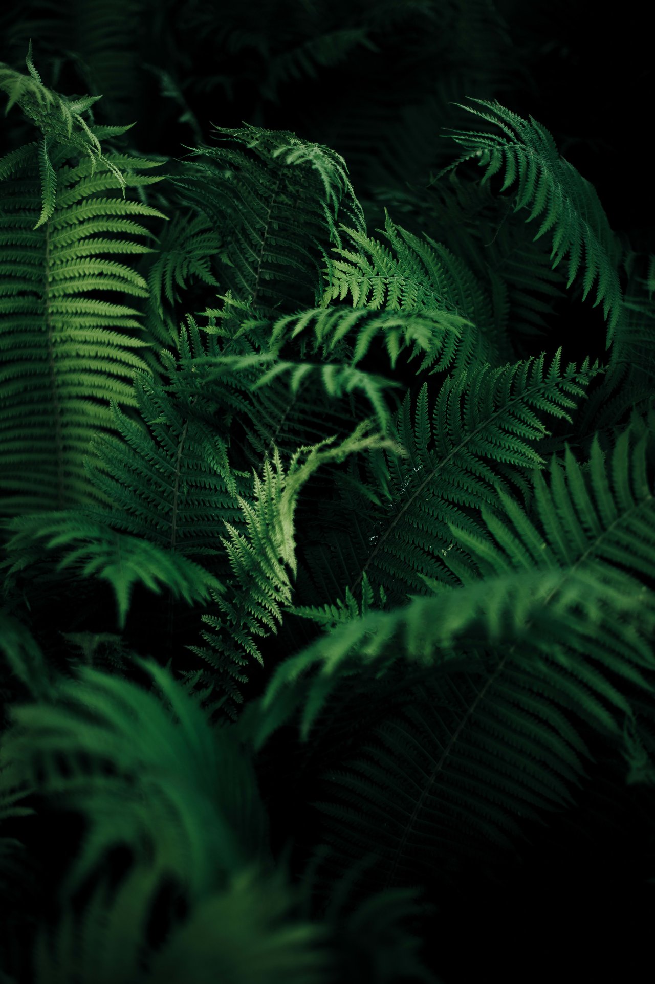 The GREEN sheet | Jan/Feb 2023