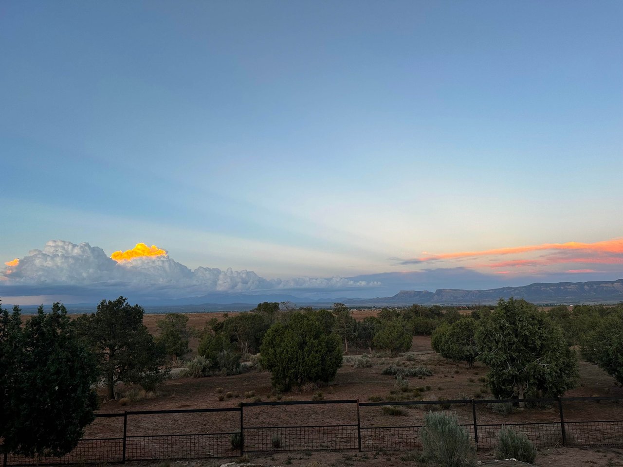 June and Quarter 2 Market Update for Southwest Colorado