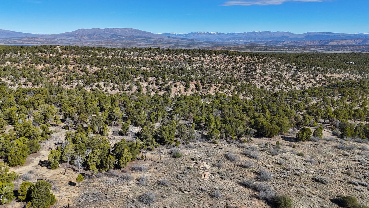 1 W Elk Meadows