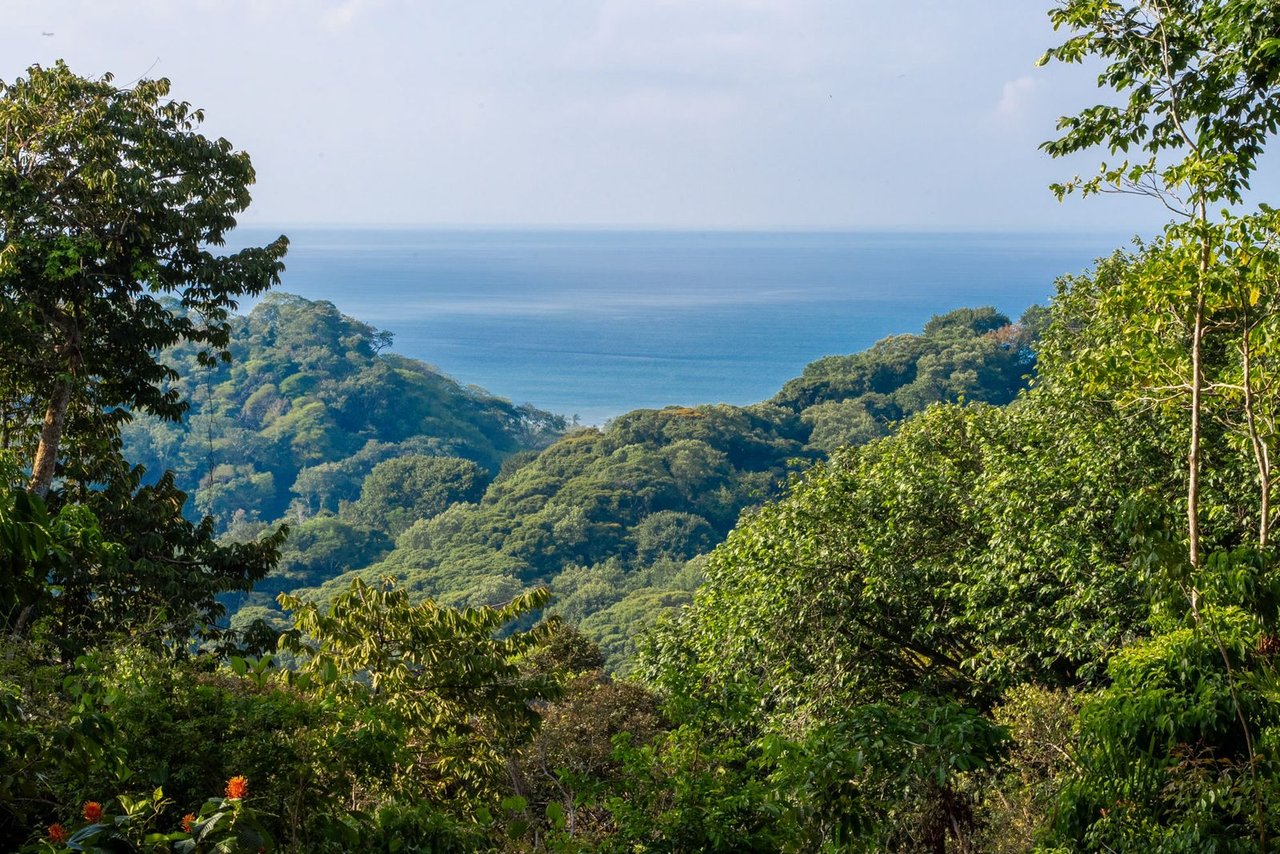 Rare 86-Acre Ocean View Estate Bordering Hacienda Barú – A Unique Opportunity for Conservation and Development
