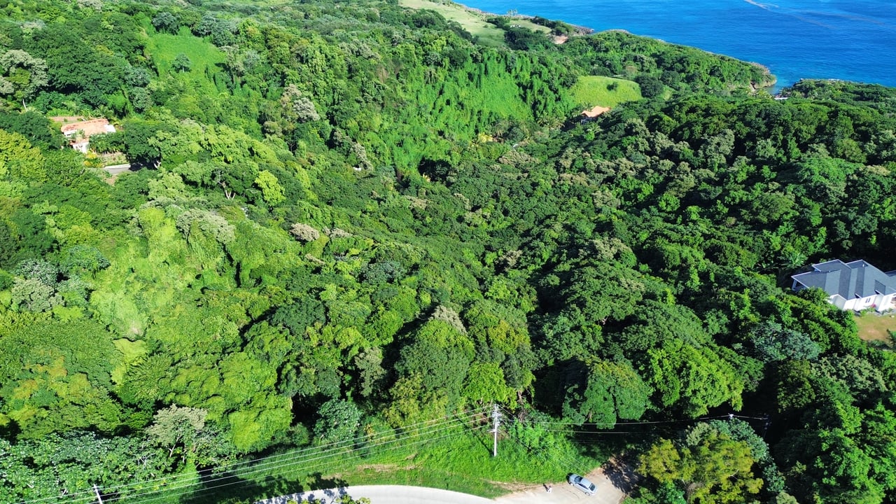 Rdft Property in West Bay (4 acres)