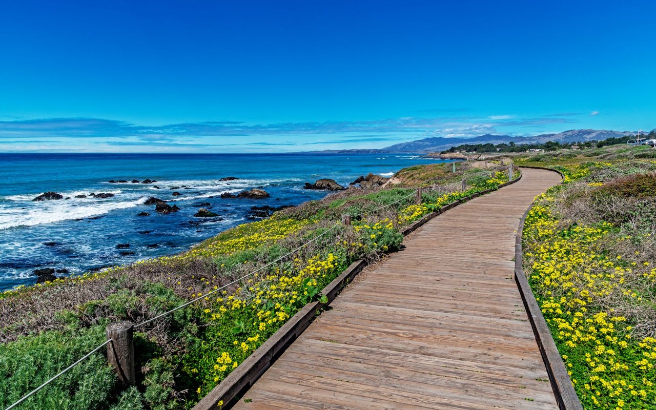 Cambria