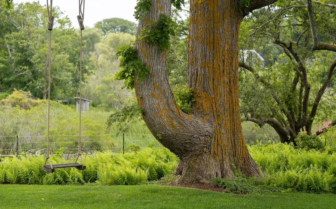 Nantucket Garden Festival