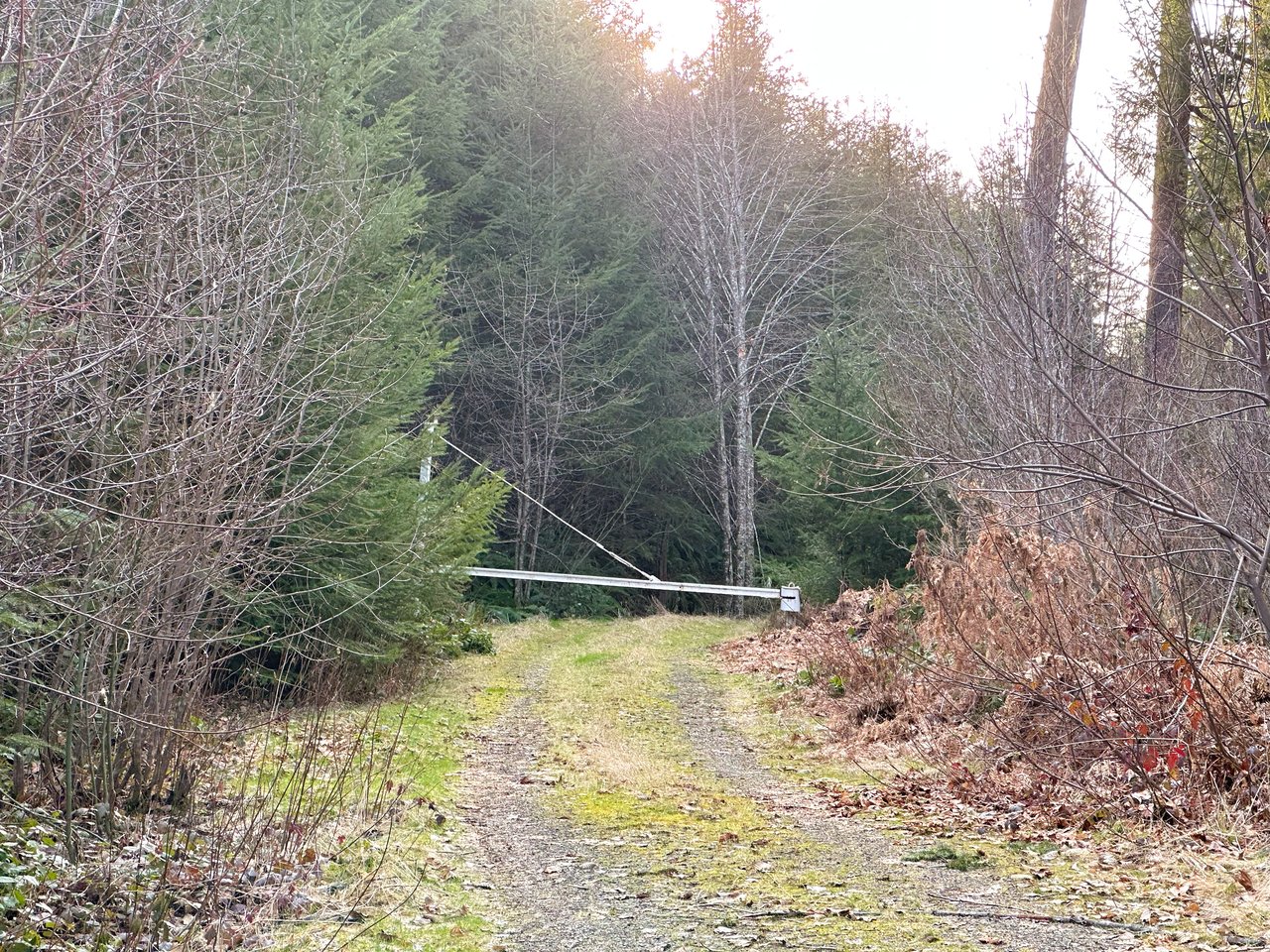 ARC Woods