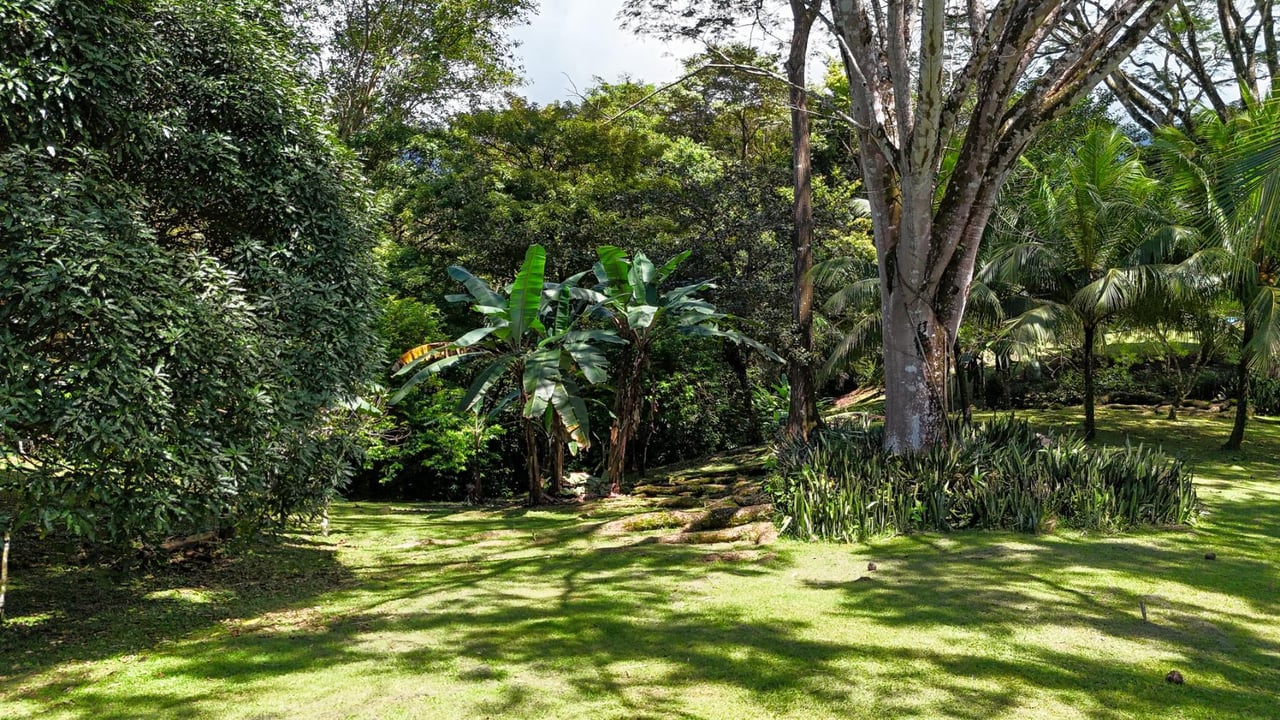 Land for Development, Ojochal, Puntarenas