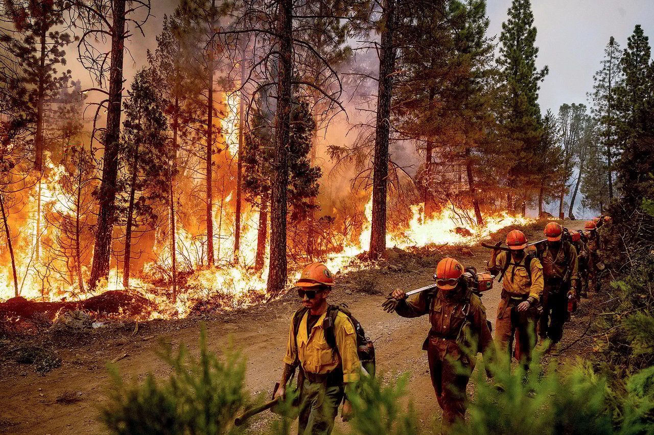 LA Fires Resource Guide
