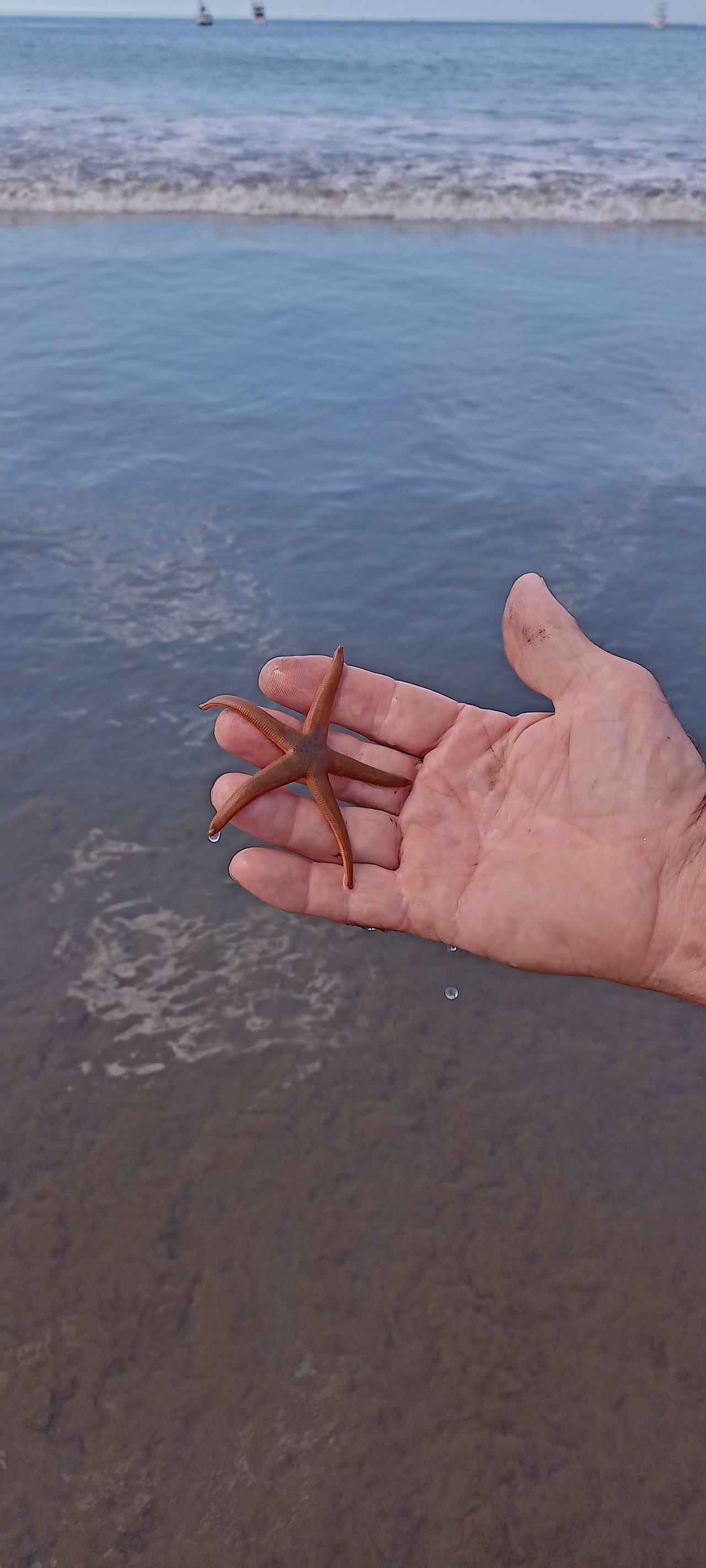 Casa Brisa de La Playa, 2 Bedroom Home Just Steps From the Beach!